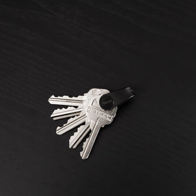 Key Smart Micro KeySmart Mini Key Organizer | KeySmart